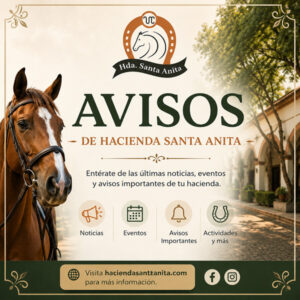 Avisos de Hda Sta Anita