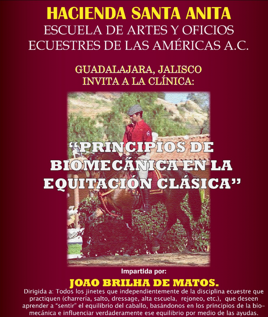Clínica Principios de la biomecánica en la equitación clásica