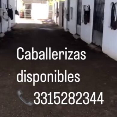Caballerizas Disponibles