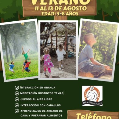 Campamento de Verano