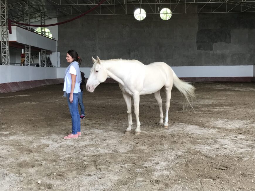 Visitas de Sudamérica
