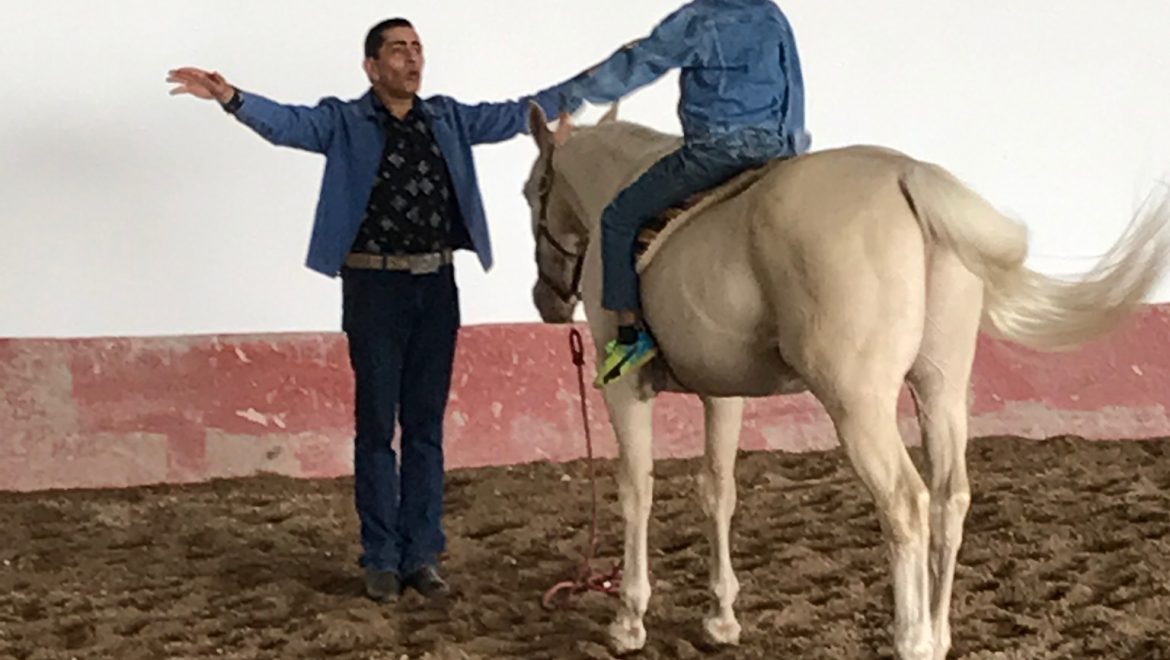 Certificación en equinoterapia Modulo 1