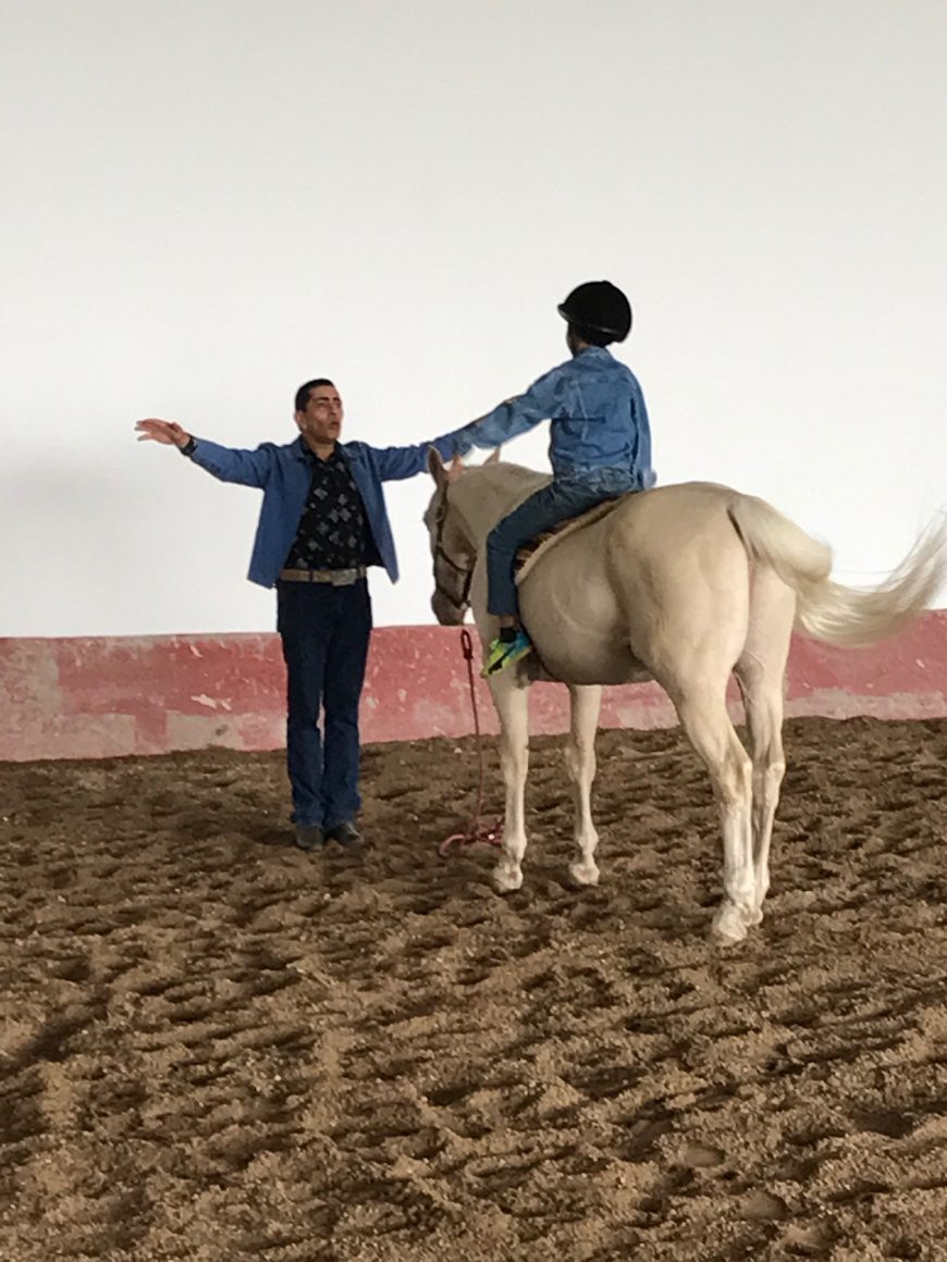 Certificación en equinoterapia Modulo 1