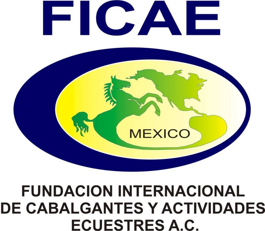 FICAE nos certifica en equinoterapia ¡Únete a nuestro equipo!